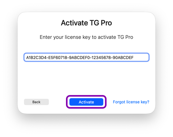 Screenshot showing how to activate a license key.
